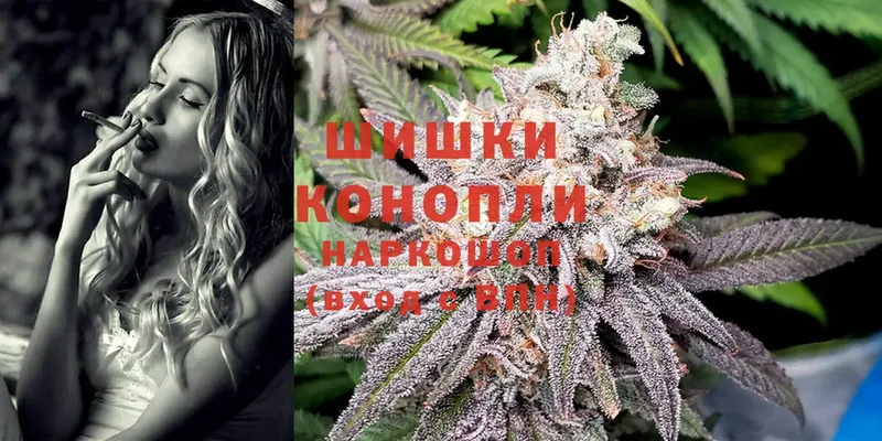 как найти наркотики  Кемь  МАРИХУАНА White Widow 